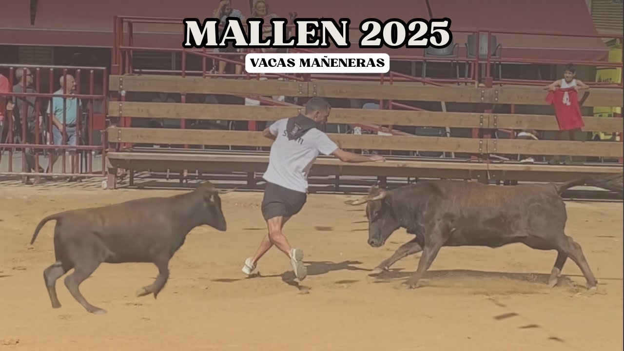 Mallen ( Zaragoza ) -  FULL HD - 11/09/2025