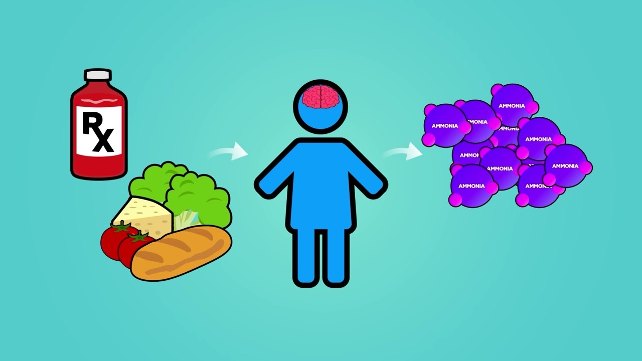 Introduction to Urea Cycle Disorders