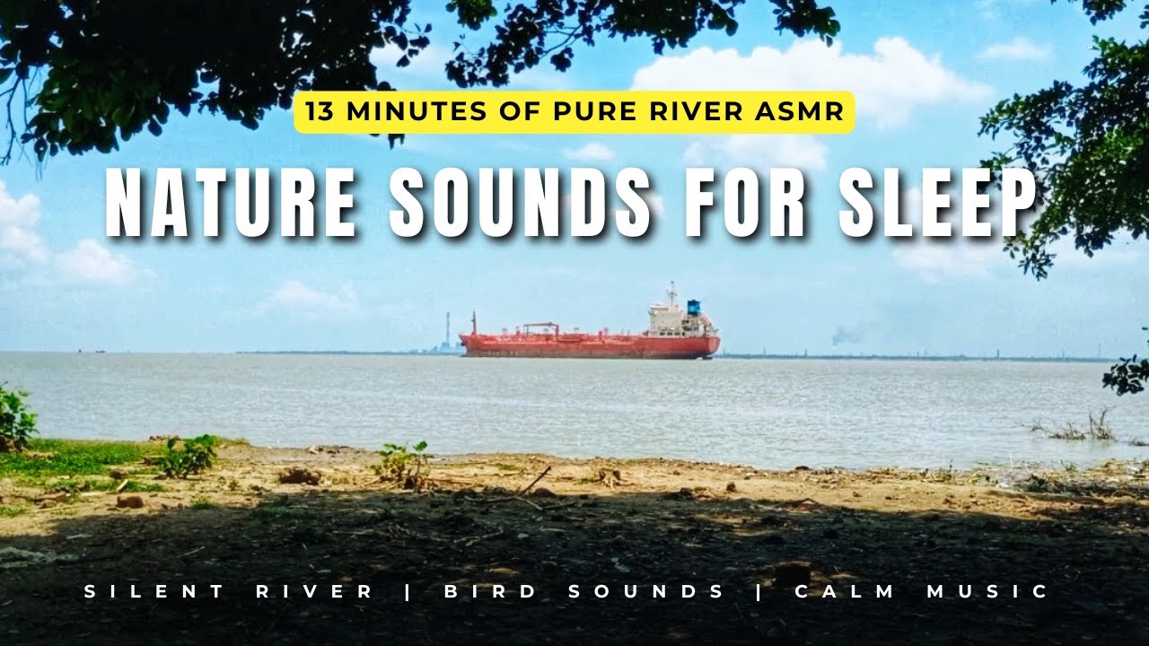 Fall Asleep by a Silent River | 13 Minutes of Nature ASMR with Birds & Calm Music (No Talking)