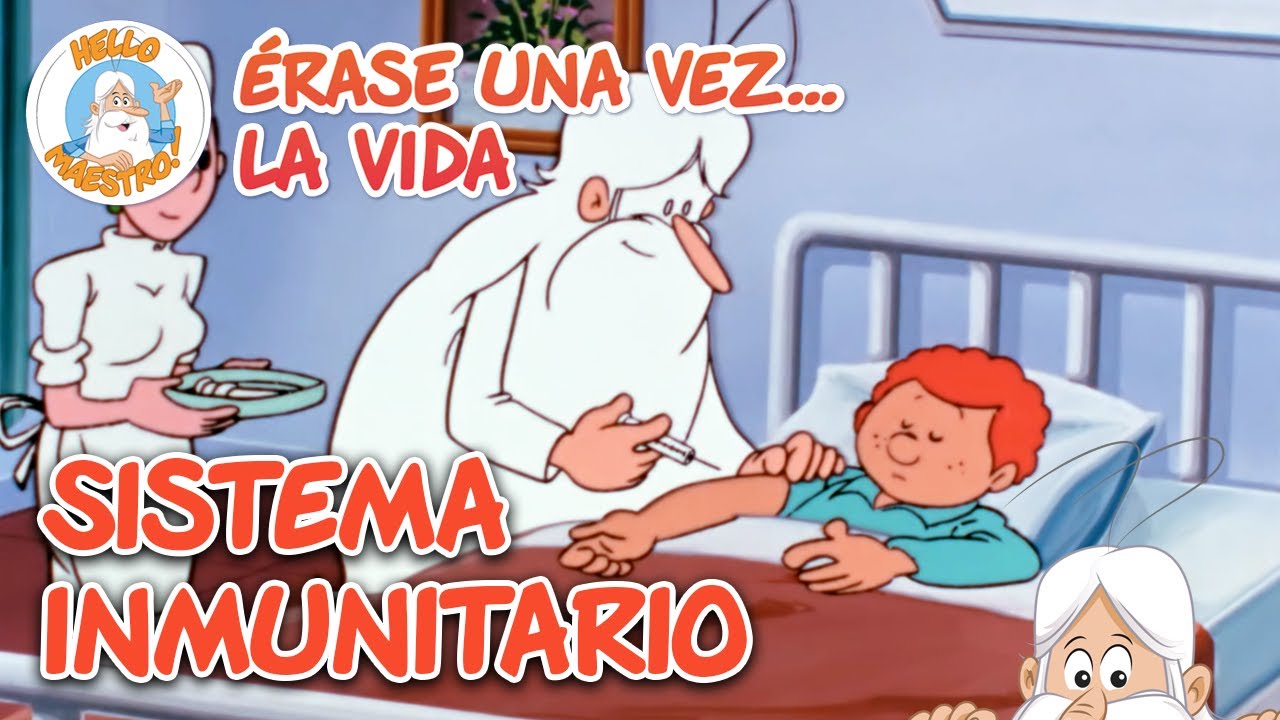 Sistema inmunitario | Recopilación de Episodios | Erase Una Vez... La Vida