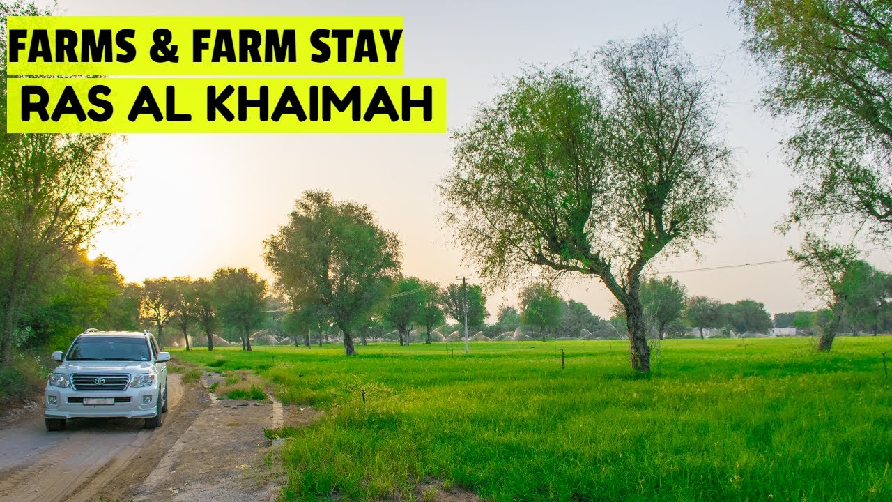 കിടിലൻ Farms & Farm Stay In Ras Al Khimah