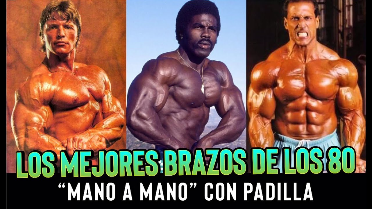LOS MEJORES BRAZOS DE LOS 80' 💪. 💪. 💪. /