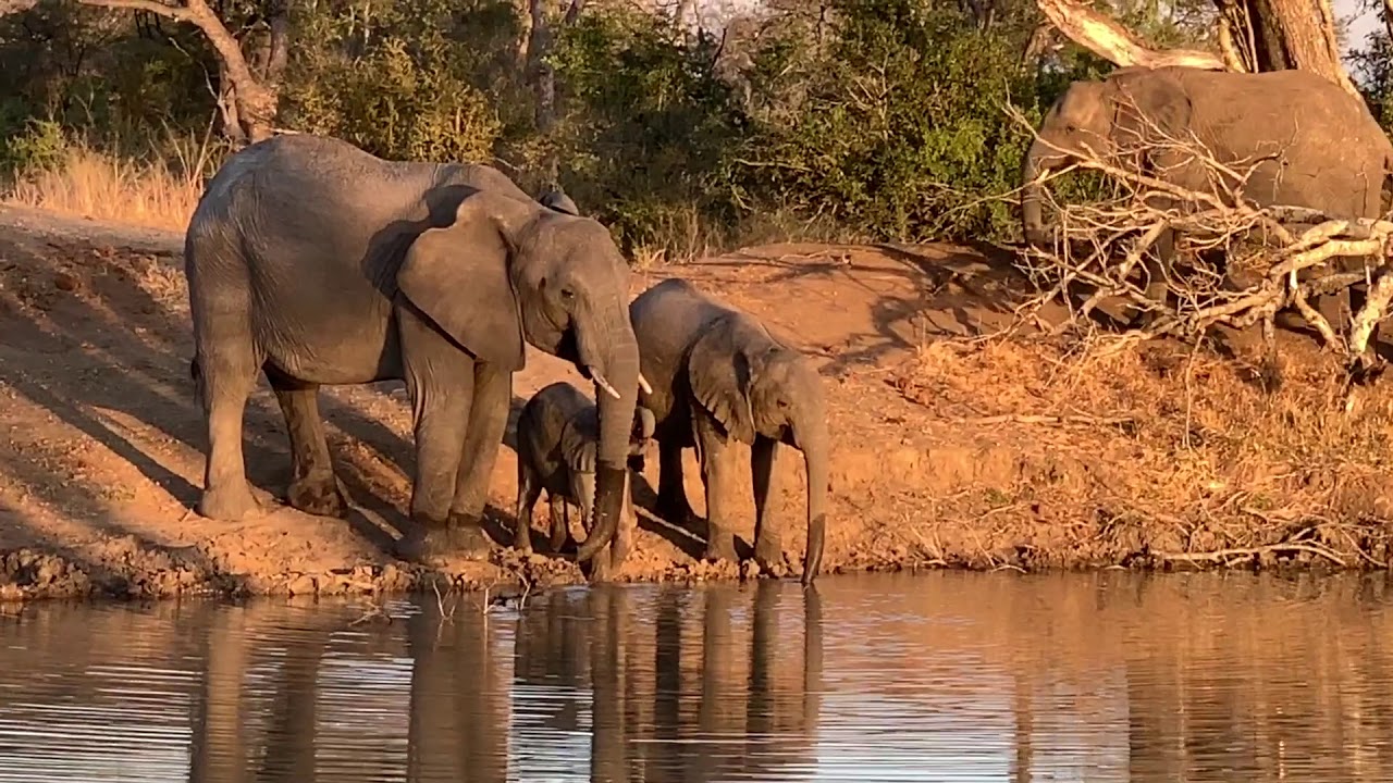 Honeyguide tented camp day 3