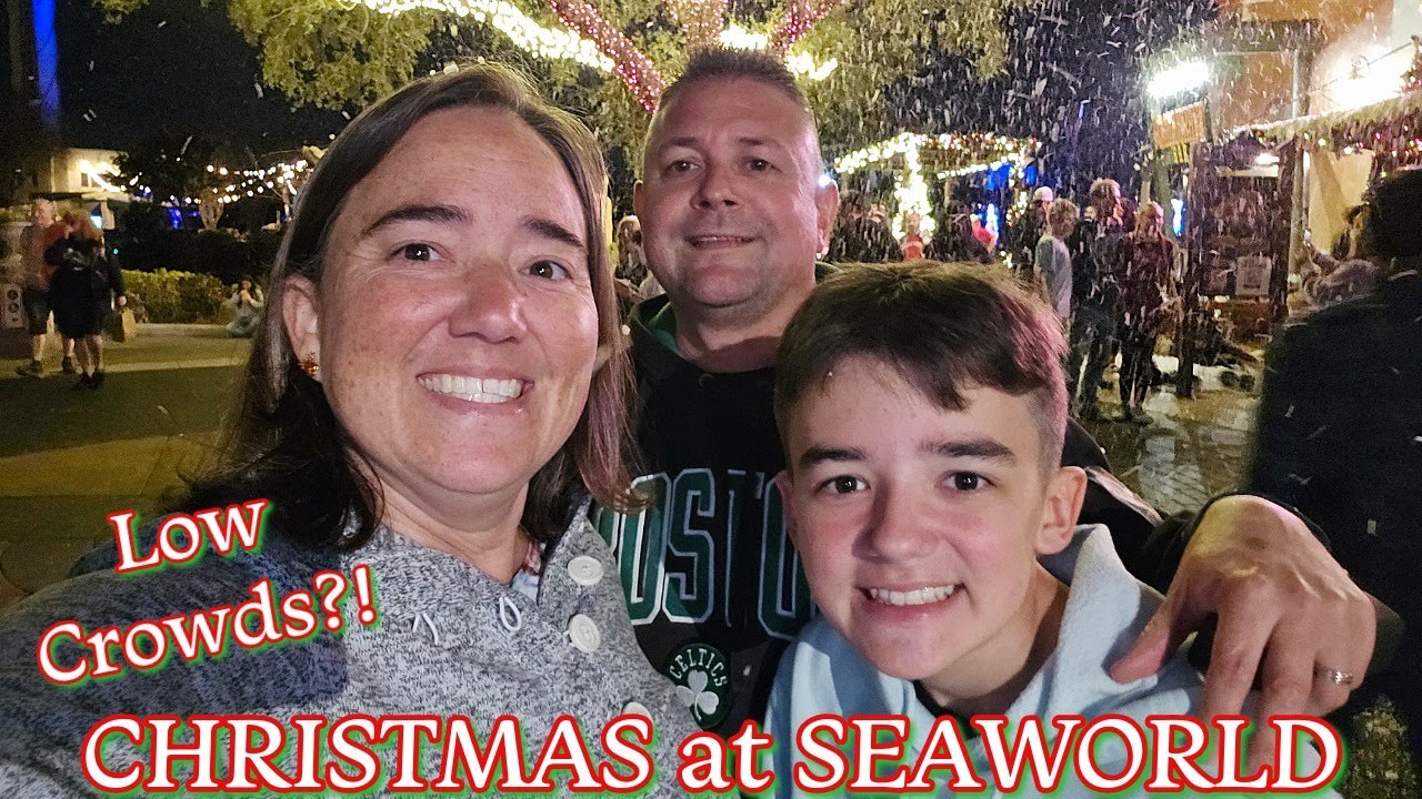 Опустевший парк развлечений SeaWorld во время празднования Рождества! Много снега и еды!