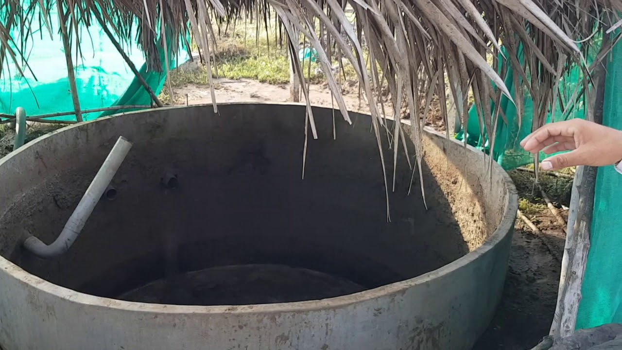 ORGANIC FARMING IN INDIA! Two Brothers Oragnic Farms Tour