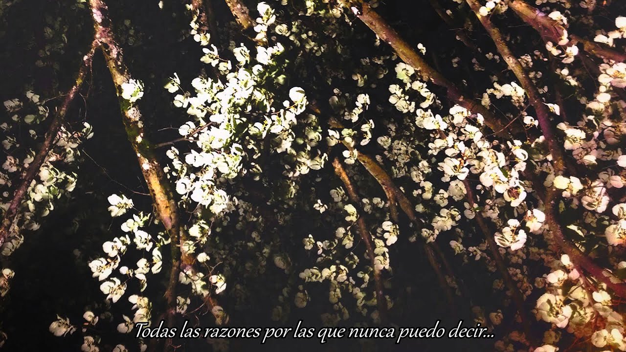 Forever Losing Sleep - I Lost Myself Again. (Subtítulos Español)