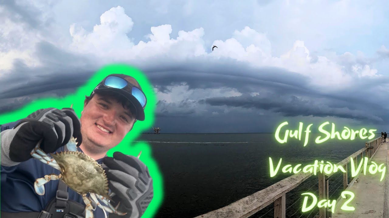 BLUE CRAB CATCH/CLEAN/COOK!!! (GULF SHORES/FORT MORGAN, AL)