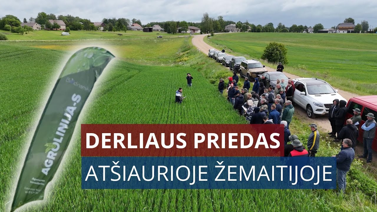Derliaus priedas įnoringoje Žemaitijos dirvoje