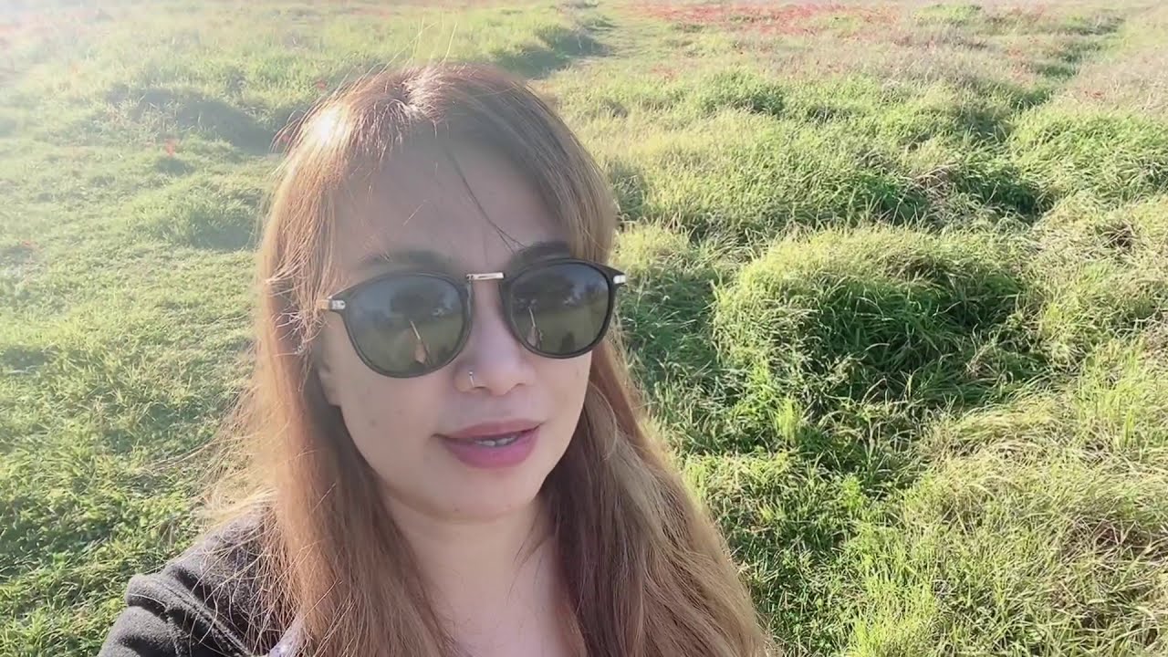 Calaniot 2021 Israel  || beautiful red flowers view