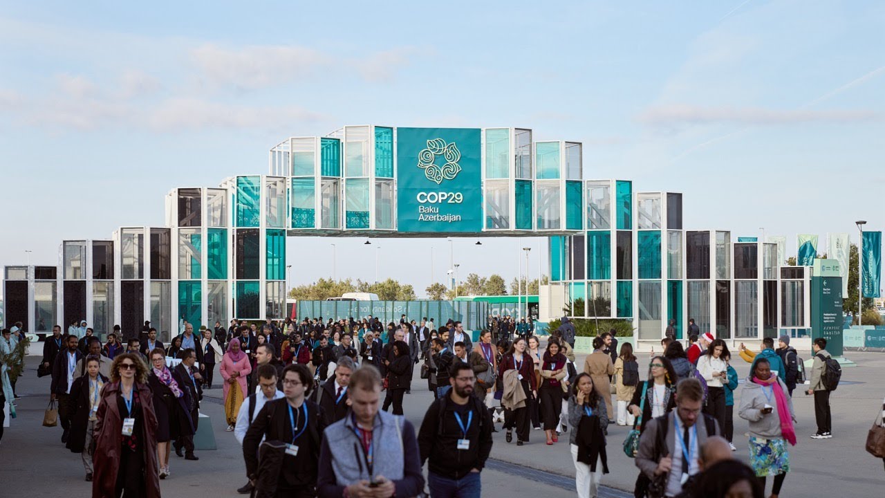 Thank you, COP29!