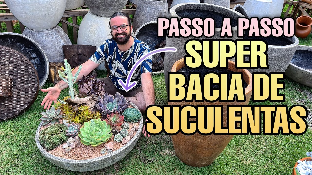ARRANJÃO de SUCULENTAS CHIQUÉRRIMO - Super bacia de suculentas