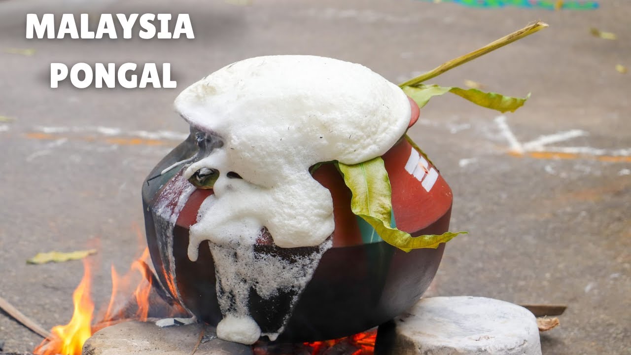 மலேசியாவில் தைப்பொங்கல் கொண்டாட்டம் - Thai Pongal Celebration in Malaysia