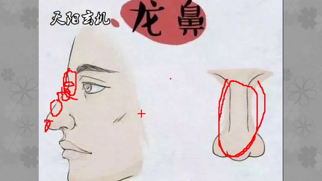 鼻子是装钱的口袋，这些几种鼻相不得不知