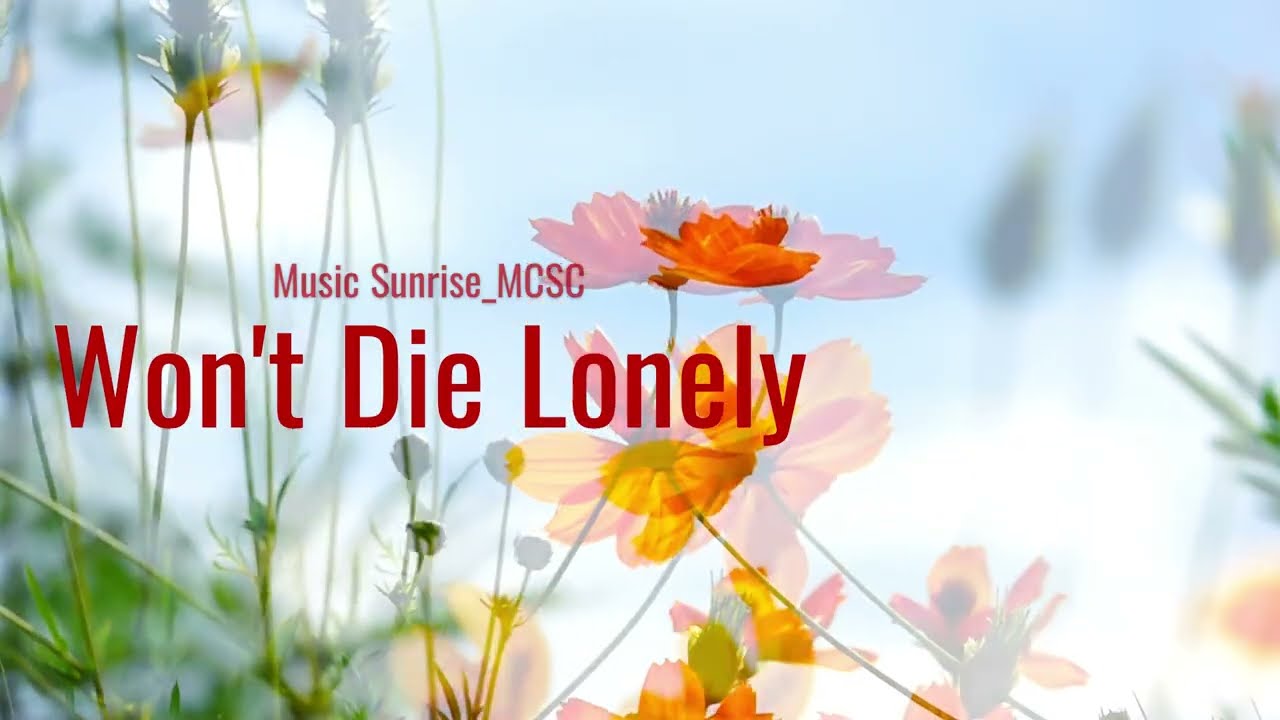 Won't Die Lonely Music Mood
