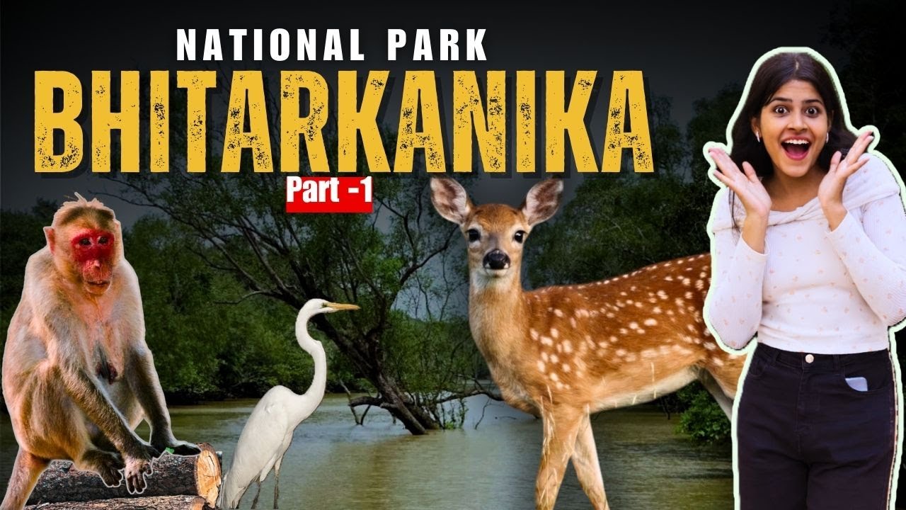 INDIA'S HIDDEN AMAZON||BHITARKANIKA NATIONAL PARK ||TOUR GUIDE || PART-1#odishatourism#bhitarkanika