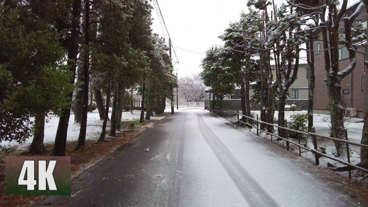 4K　A walk in the snow　221218
