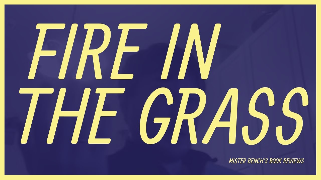Fire in the grass | Puddle Lane | Sheila McCullagh | Mister Bench's Book Reviews