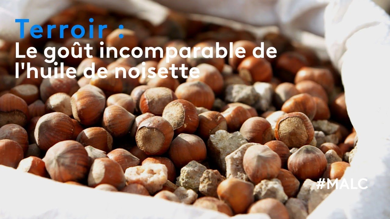 Terroir : le goût incomparable de l'huile de noisettes