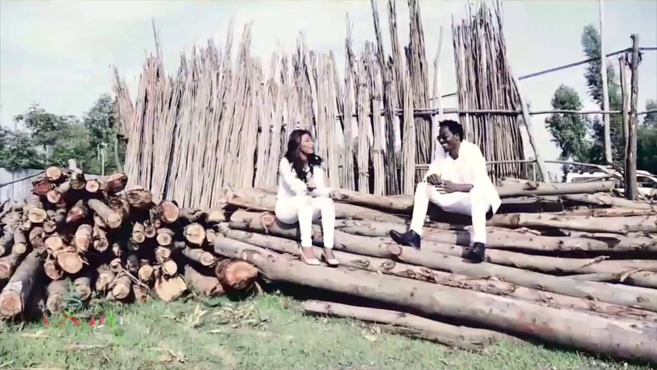 DIbabe Ademe : Dibaabee - New Oromo Music 2017