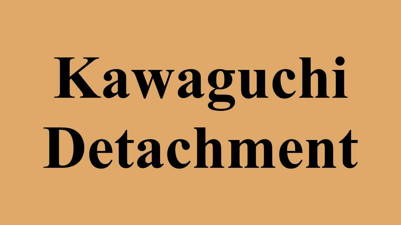 Kawaguchi Detachment