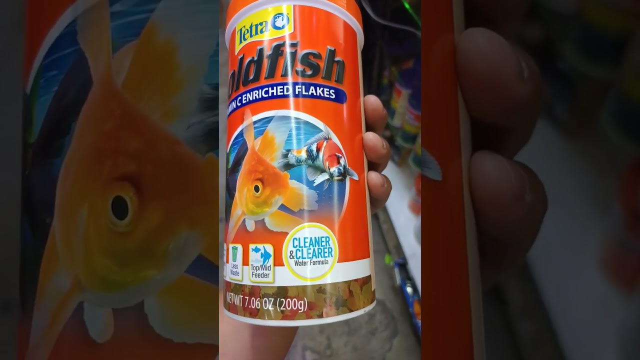 alimento para goldfish