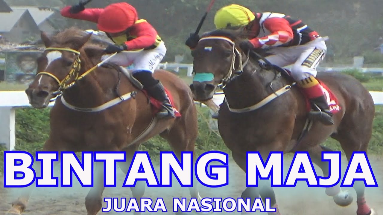 BINTANG MAJA PERJUANGAN DARI BELAKANG AKHIRNYA JUARA