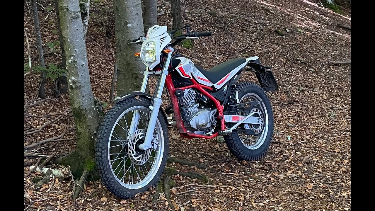 Test Beta Alp 200 2023: Moto divertente o per andare a funghi?