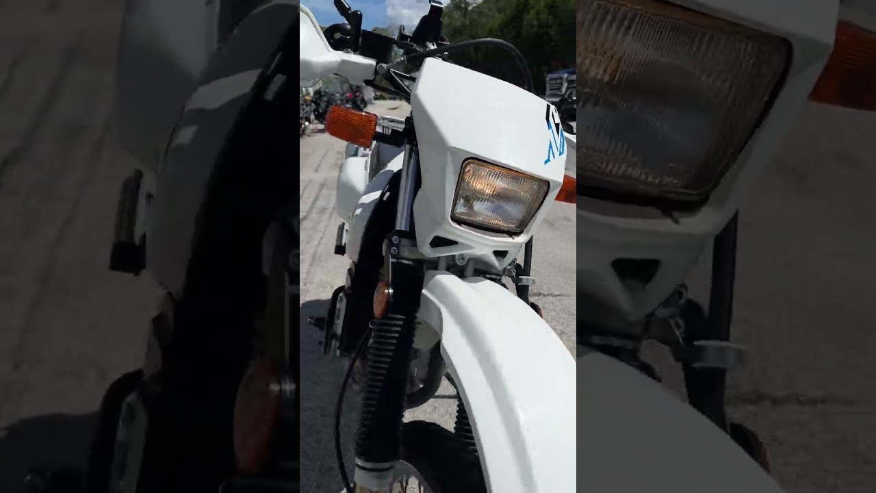 2024 Suzuki DR 650 S in white walkaround at Tampa Bay Motos, Tampa Florida
