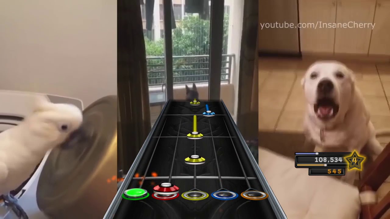 Insane Cherry - Through the Borks and Meows (Clone Hero Chart Download)