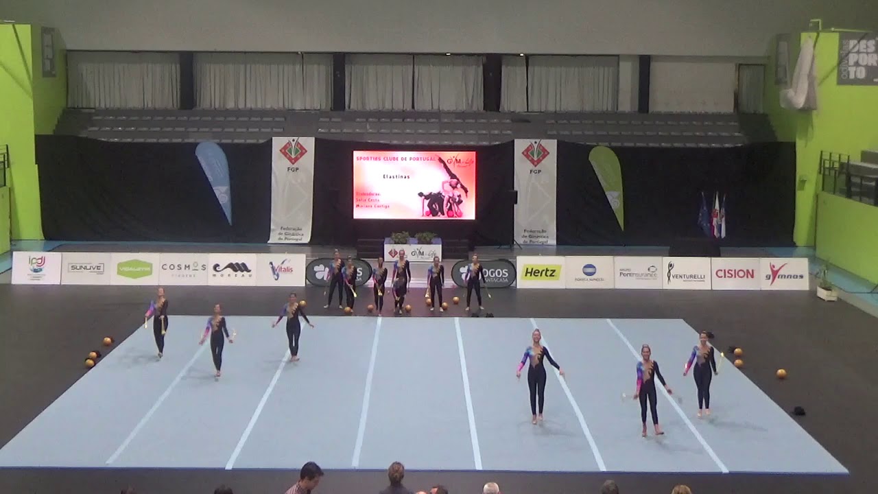 Elastinas SCP GymforLife 2018