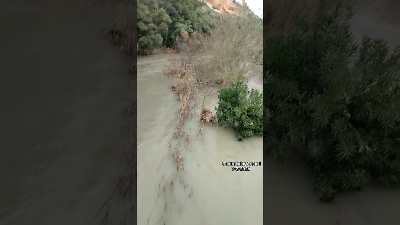 2026-02-02 RÍO GUADALETE A SU PASO POR ARCOS , ENERO Y FEBRERO 2026