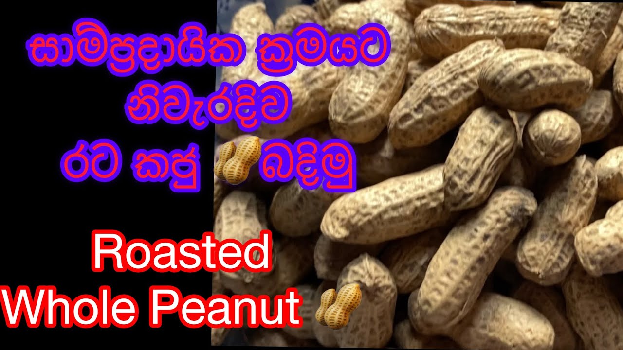 සාම්ප්‍රදායික ක්‍රමයට #පහසු ක්‍රම භාවිතයෙන් #ඉක්මණින් රටකජු 🥜 බදිමු| Roasted Peanuts in the #sand⏳