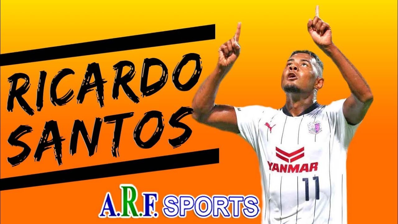 Ricardo Santos ● Striker ● 2017