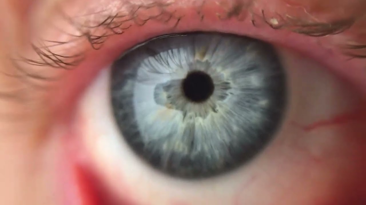 Macro Blue eye