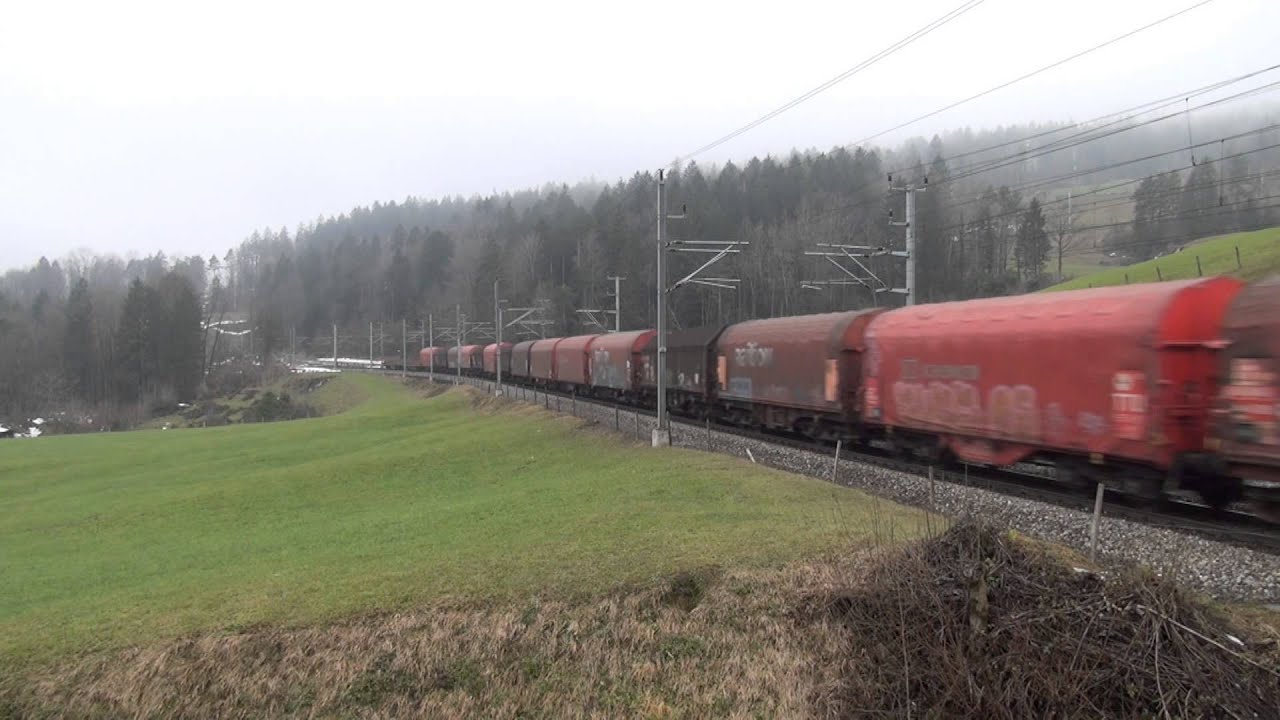 DB BR 185 118 mit gemischtem G&uuml;terzug in Arth-Goldau