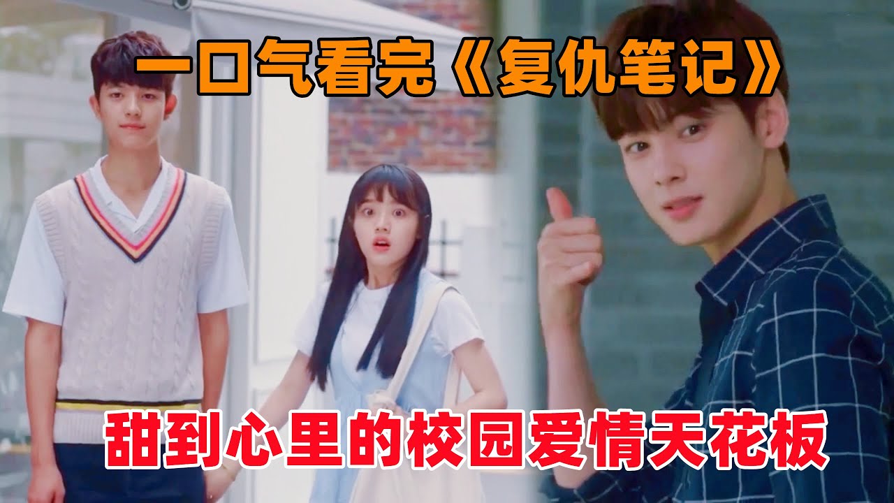一口气看完《复仇笔记》全集！宠溺杀+土味情话！甜到心里的校园爱情天花板！金香起，车银优，朴所罗门，金焕熙主演