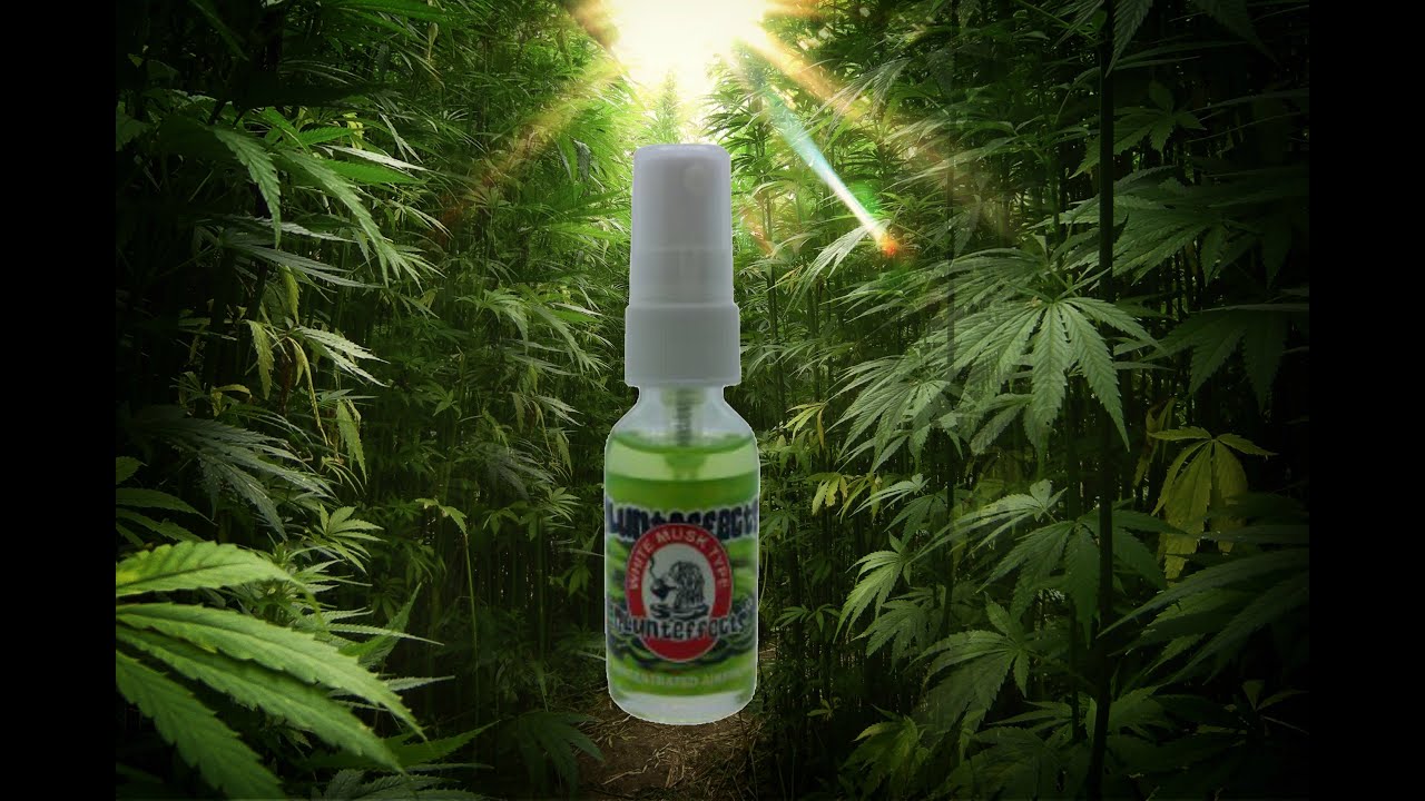 Blunt Effects But Naked Review!!! WTF