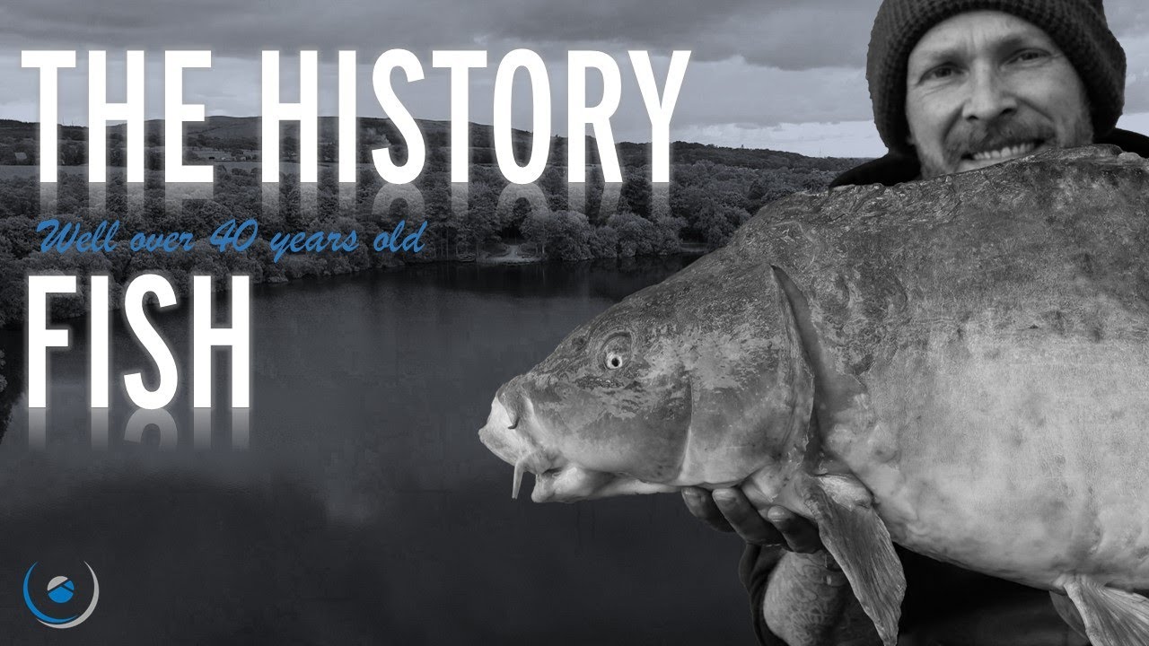 Searching for History | The Wyreside Lakes Fishery Spring Round Up | Carp Fishing 2022