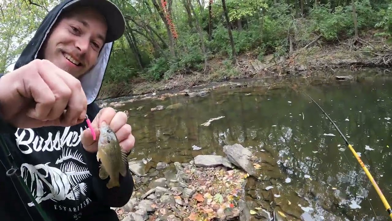 TROUT MAGNET at indian creek