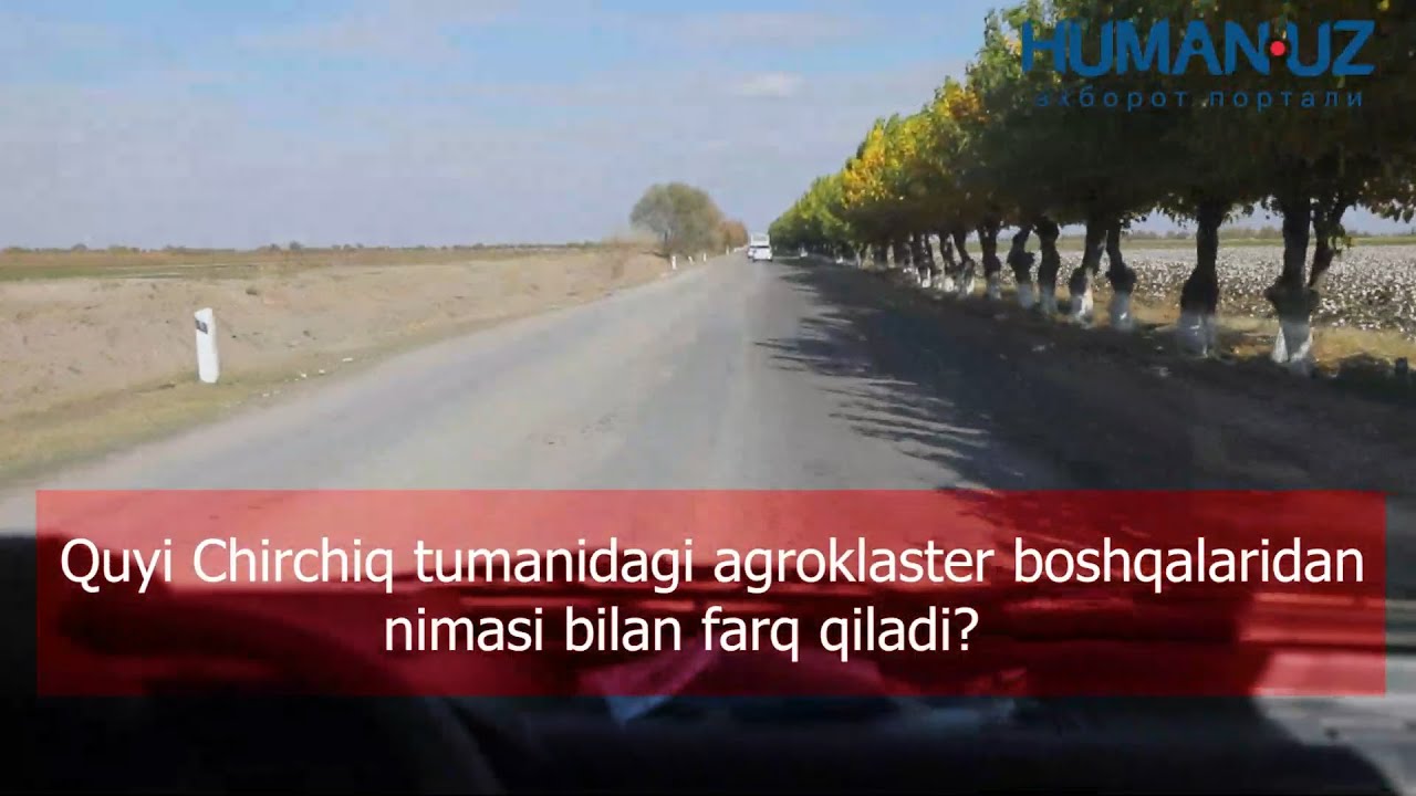 Quyi Chirchiq tumanidagi agroklaster boshqalaridan nimasi bilan farq qiladi?