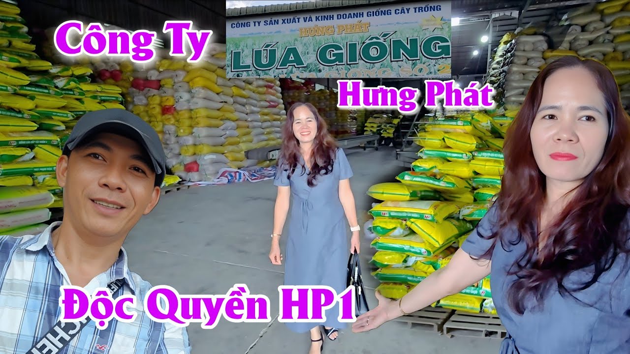 10/09 Tham Quan CT Hưng Phát Lúa Giống HP1 Giám Đốc Nguyễn Thị Nhàn Giải Đáp Cho Bà Con #ngườicàmau