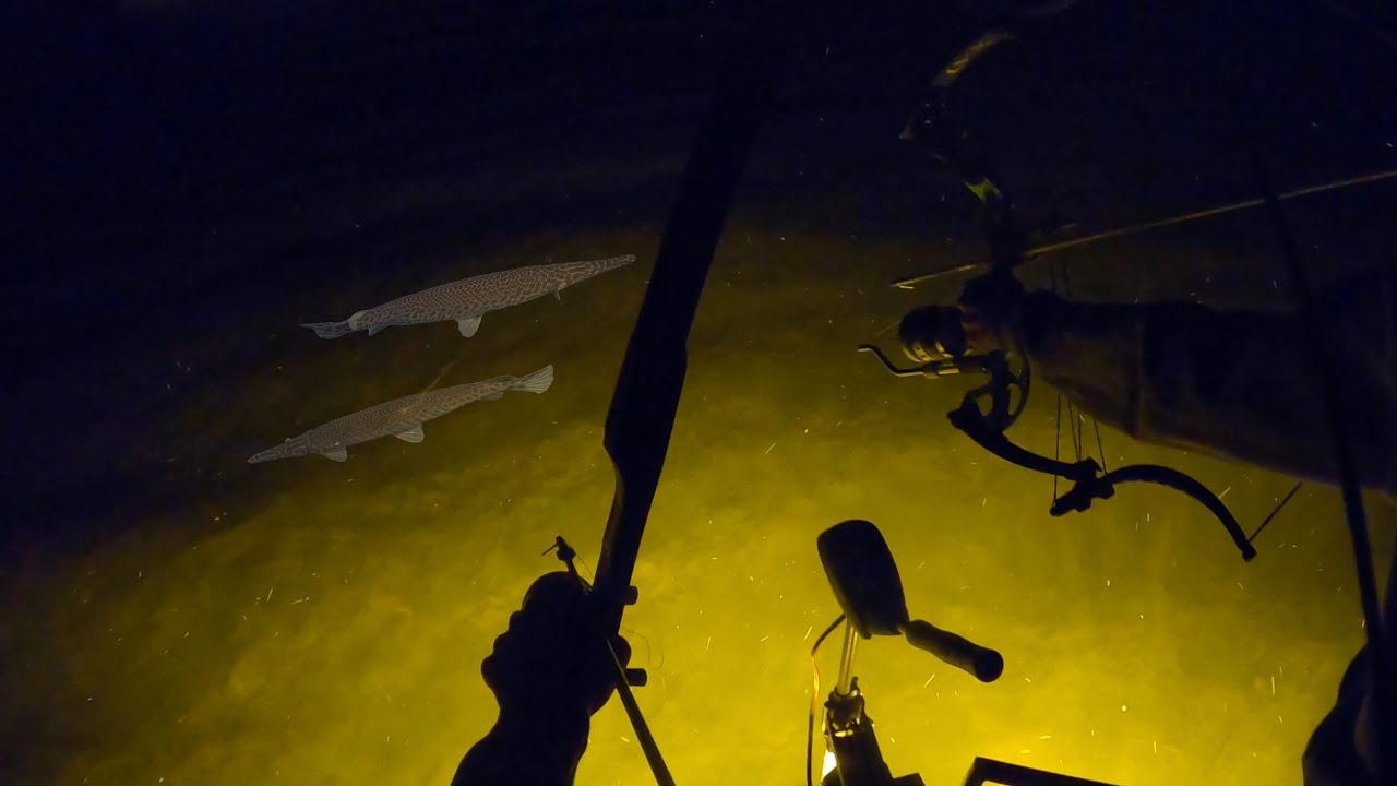BOWFISHING Mid-Season GAR (INSANE MIXED BAG)