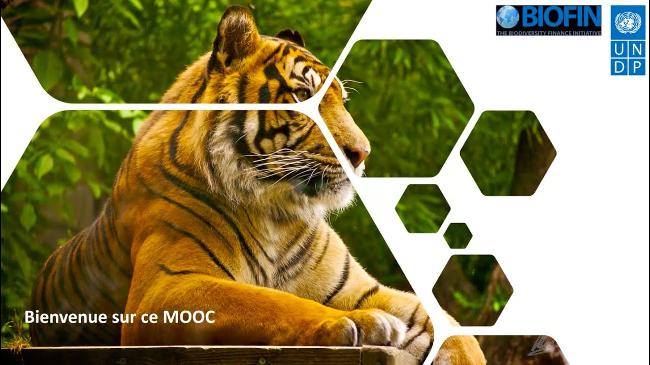 Webinaire: Introduction à la Biodiversité et au Développement Durable