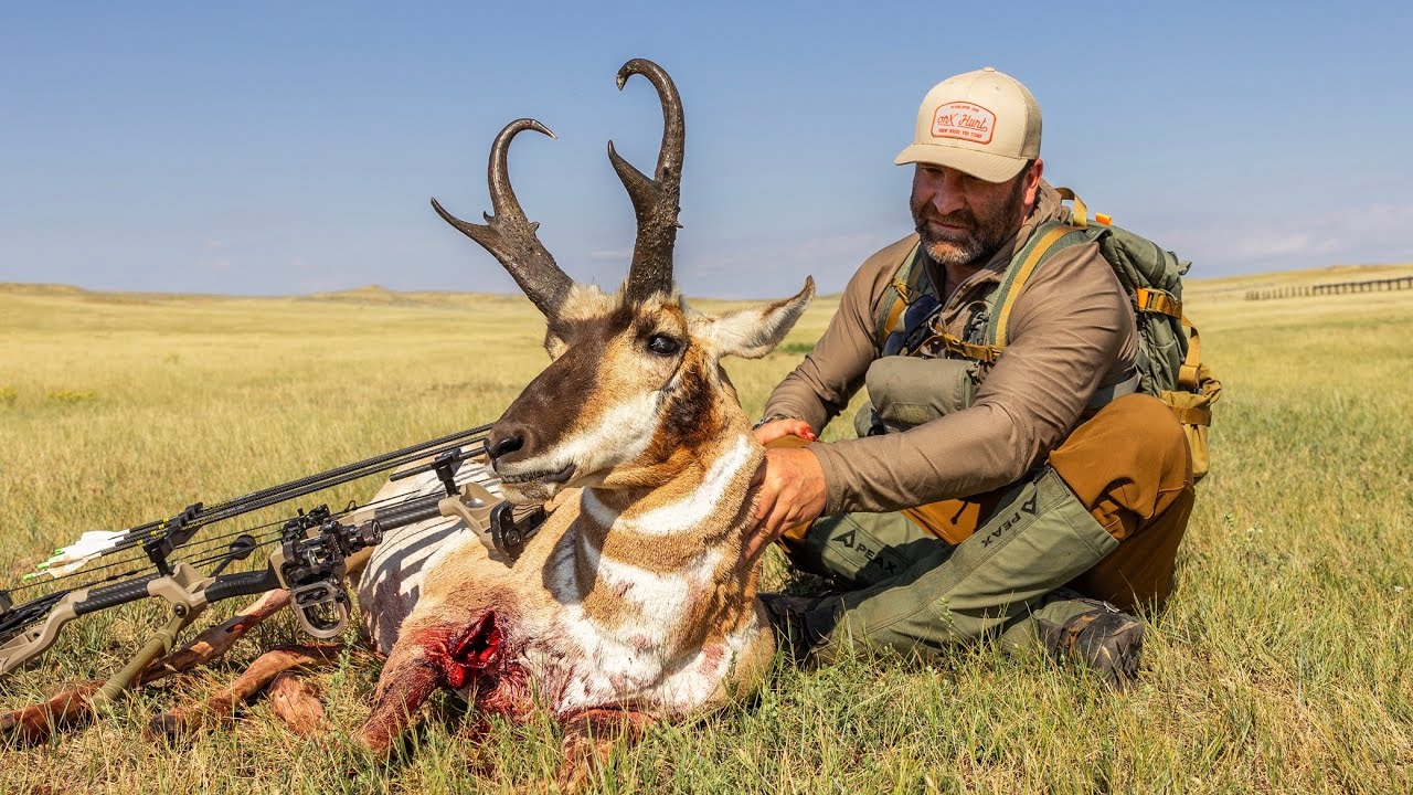 'IN SHORT' A Montana Archery Antelope Hunt 2025