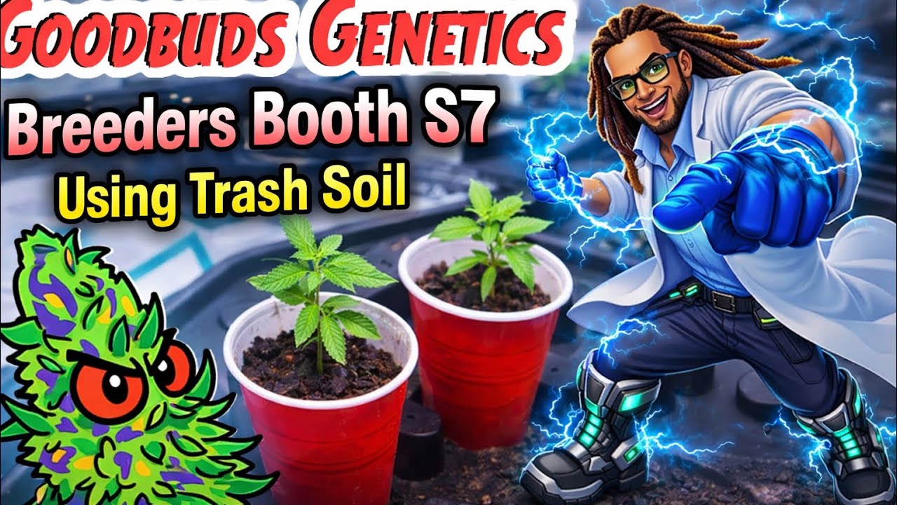 Breeders Booth | Using Trash Soil! | Veg 1 & 2  🌱🧬