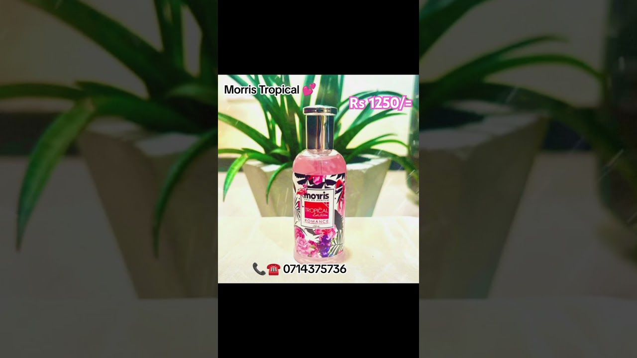 📞 0715375736 WhatsApp Fancy Finds SL 💕 Morris Tropical perfume ❤️ Indonesia import product