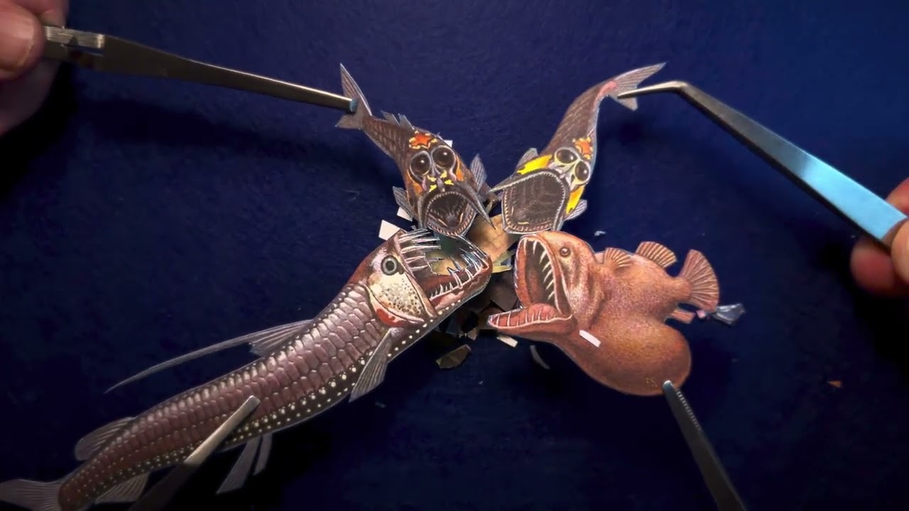 LOGJAM - 48 Hour Puppet Film Project 2026
