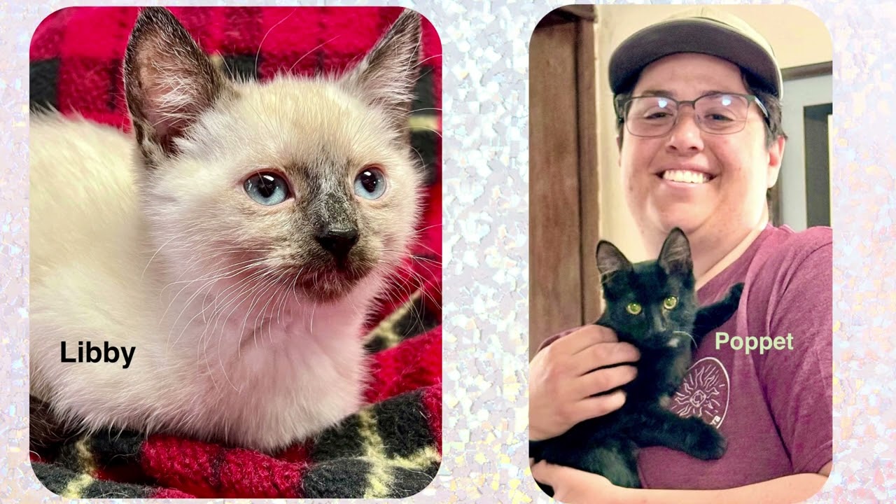 2025 Adoptions