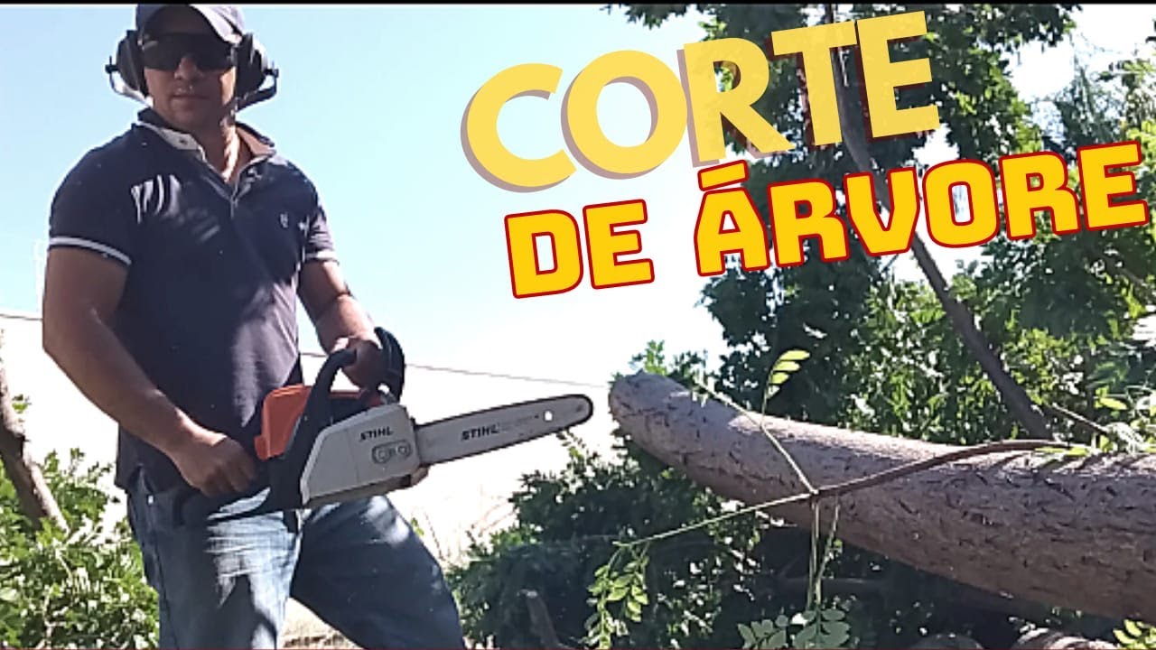 Cortando Árvore com Motosserra stihl 170