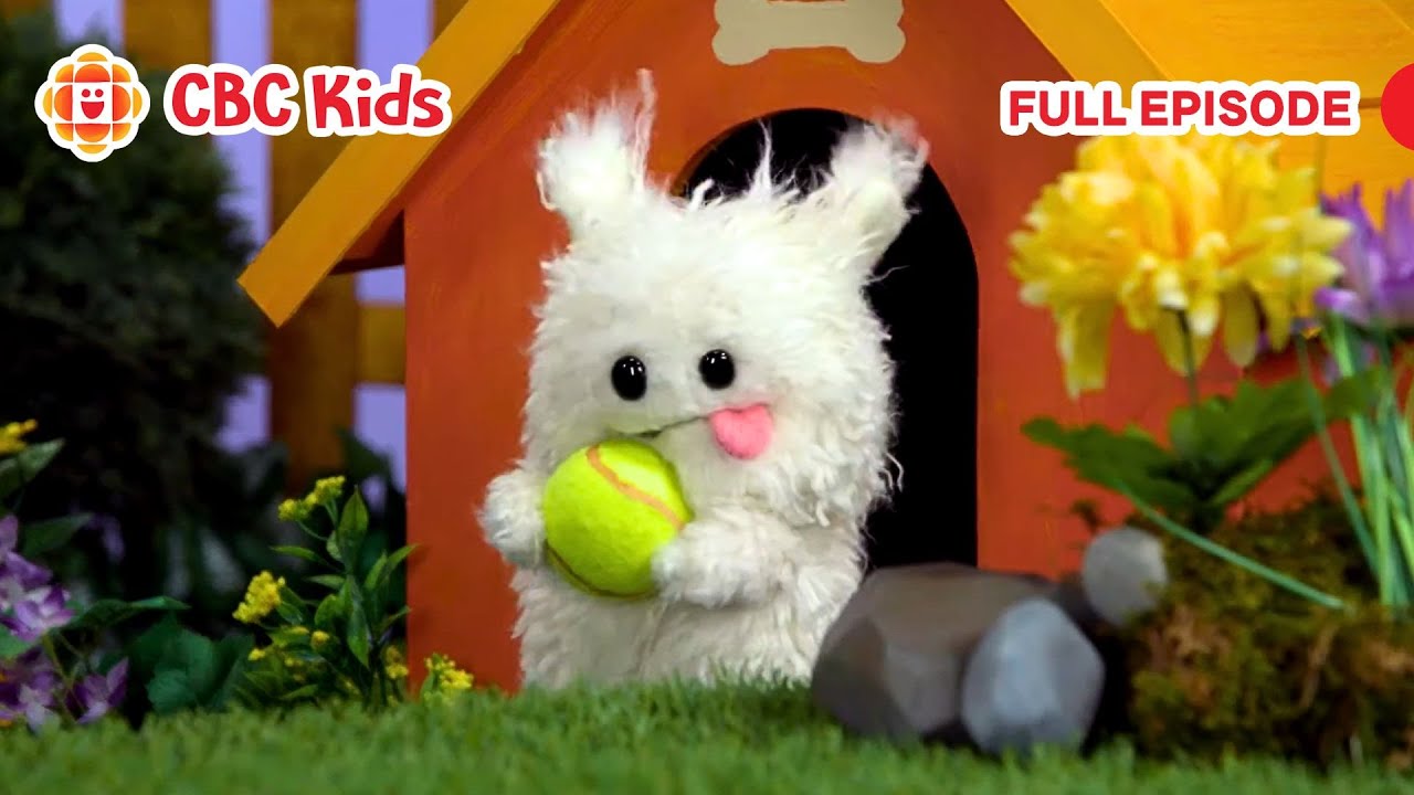 ASL Preschool Show | Button (Silly Paws) | CBC Kids